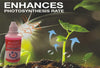 Image of Plant Growth Enhancer Supplement