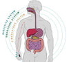 Image of Sugar Control LI4 Acupressure Point Clip